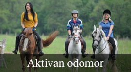 /artikli/aktivan-odomor.html